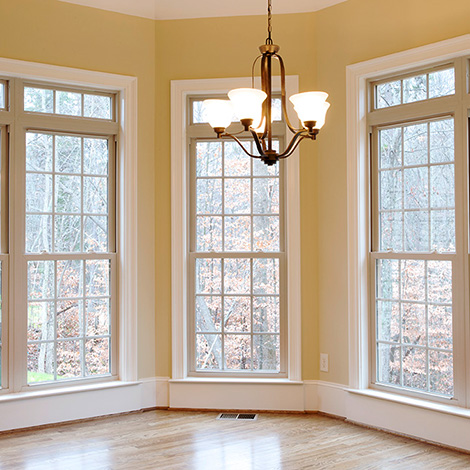 Series 450 double hung windows